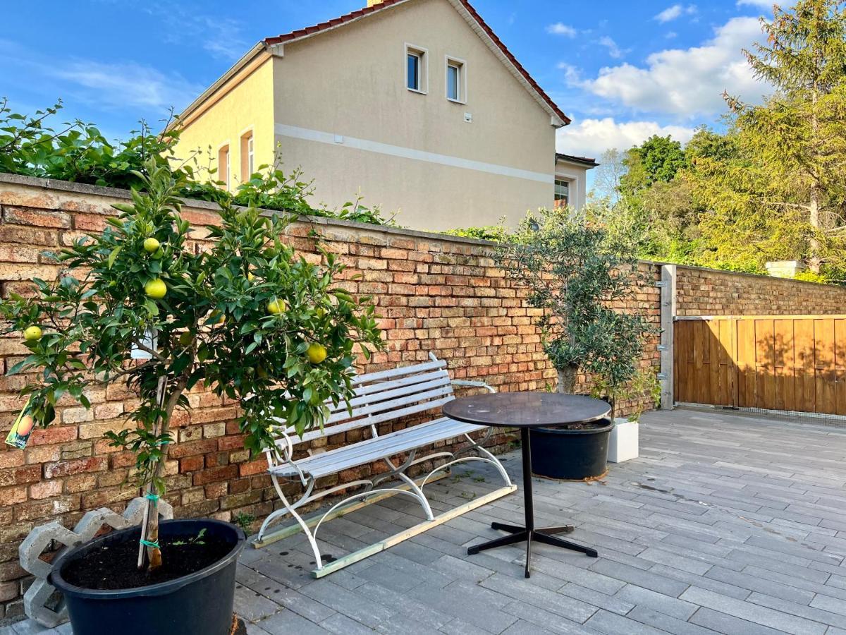 Wanderer Am Hexentanzplatz O Apartment