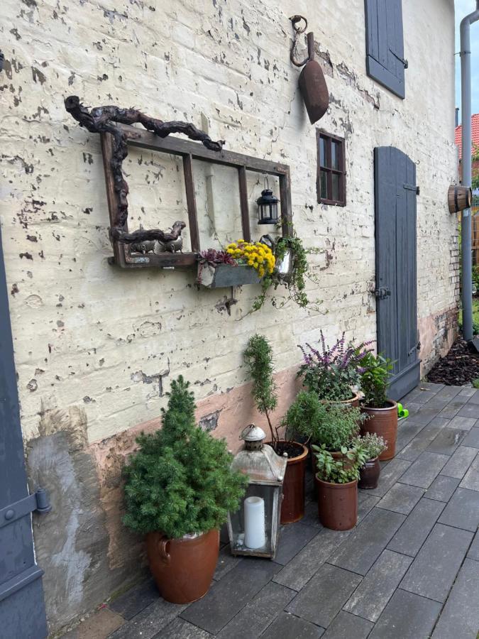 Apartment Wanderer Am Hexentanzplatz O *